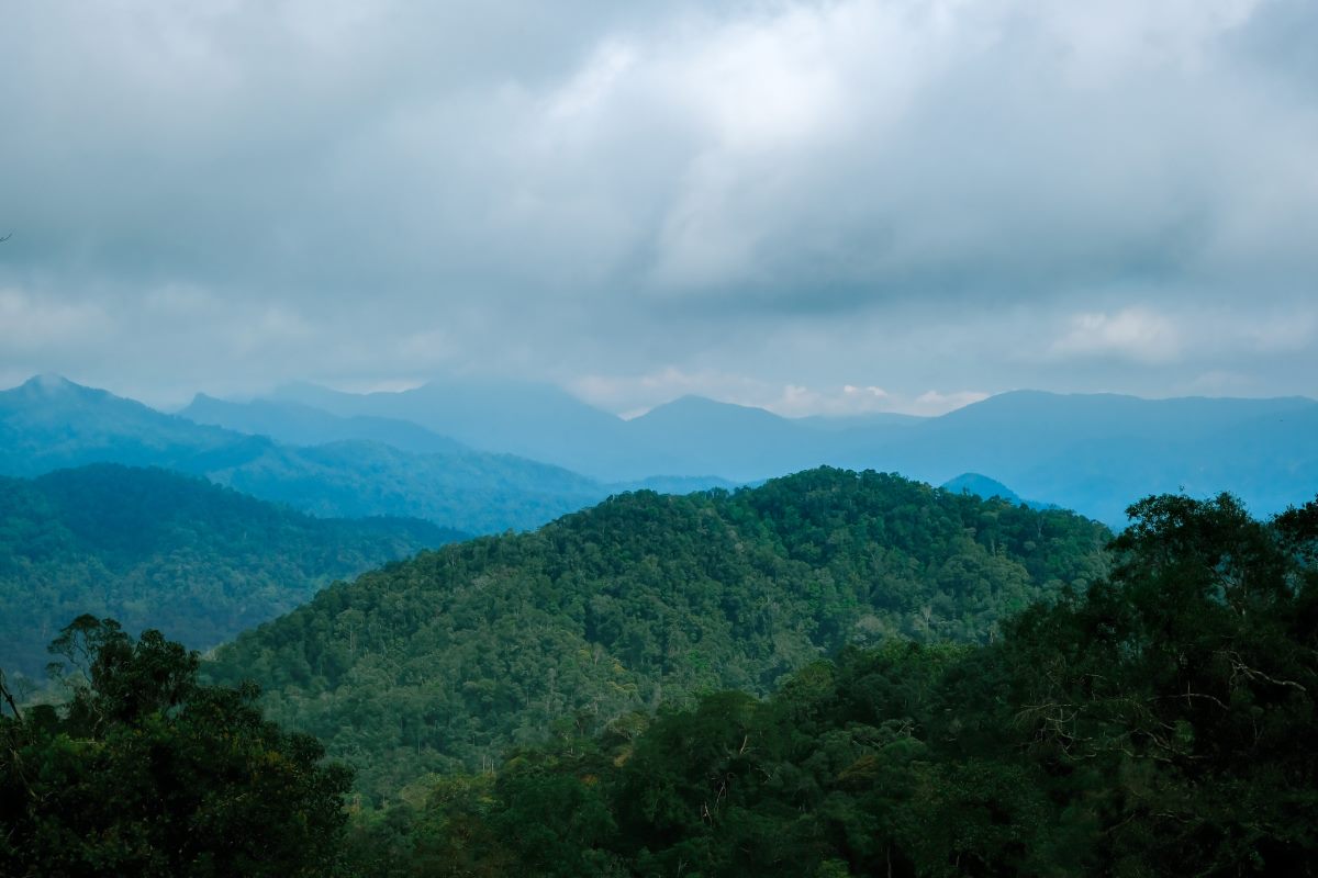 mountain view in frasers hill