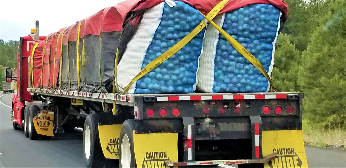 flatbed truck with covered loads