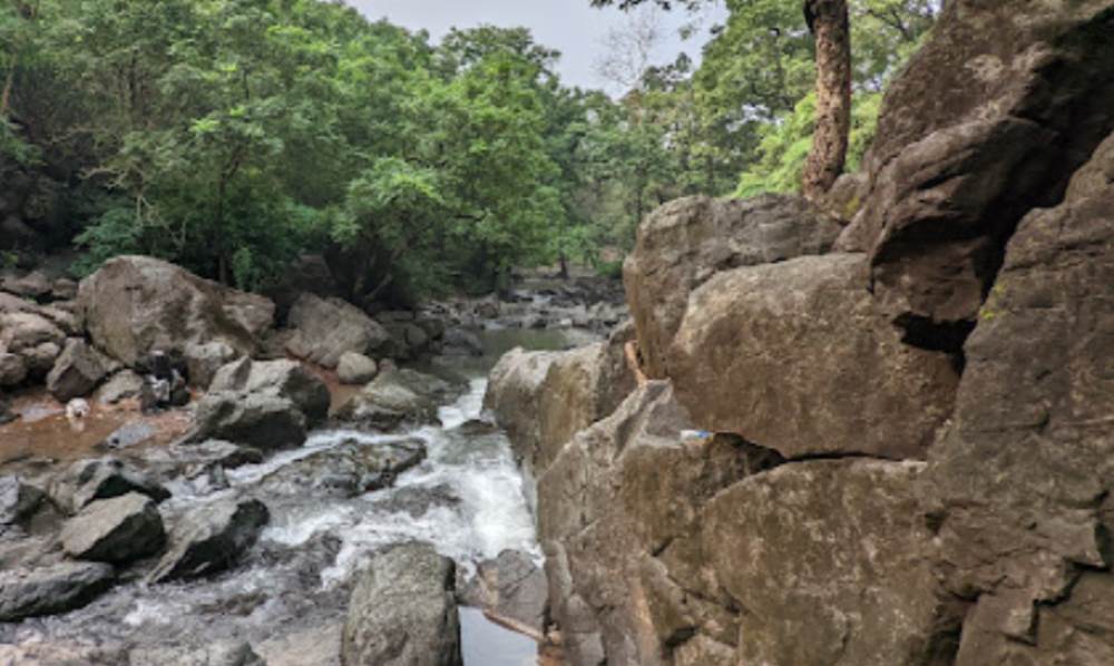 tungareshwar trek difficulty level