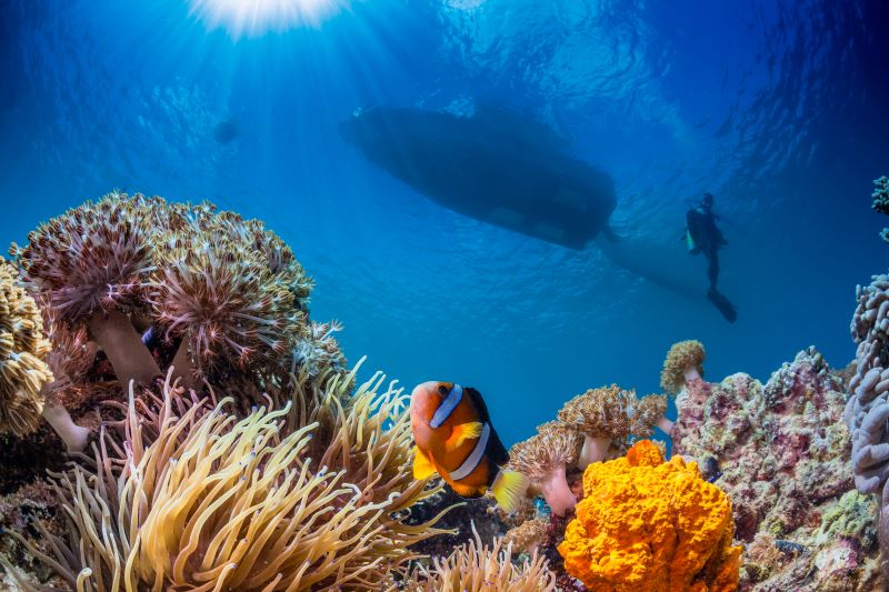 view of underwater seascape