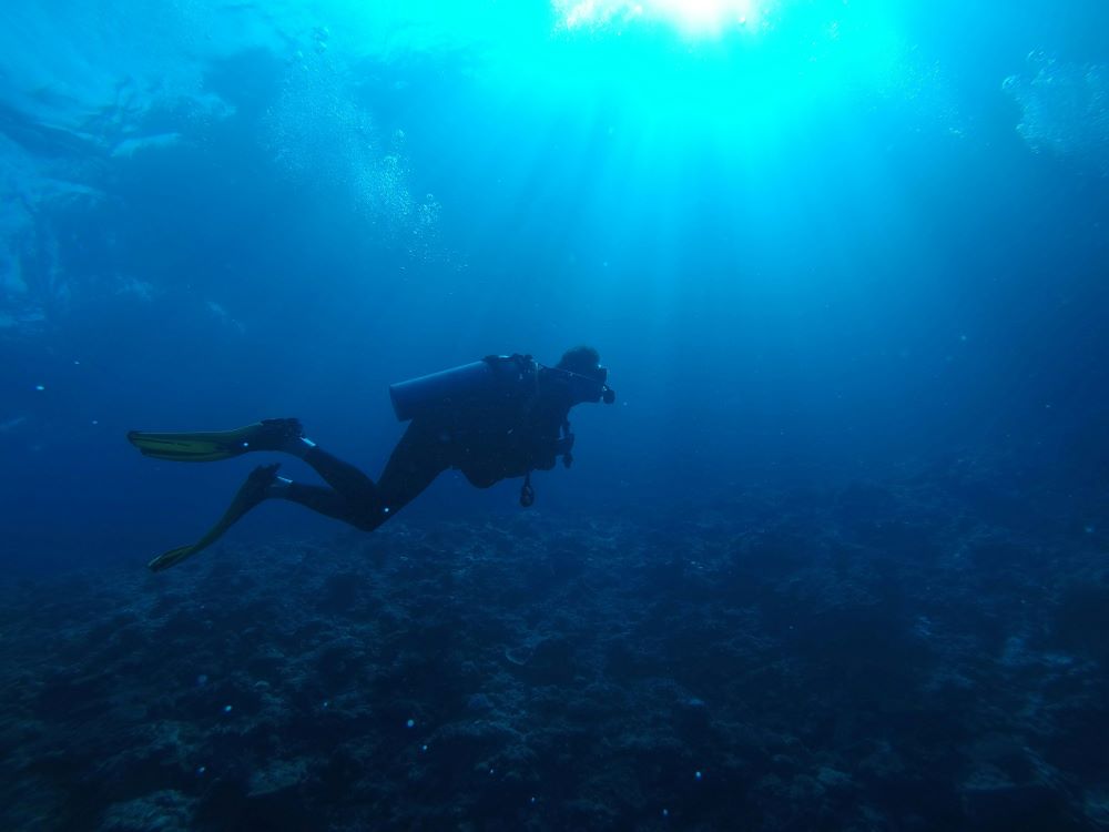 scuba diver swimming alone