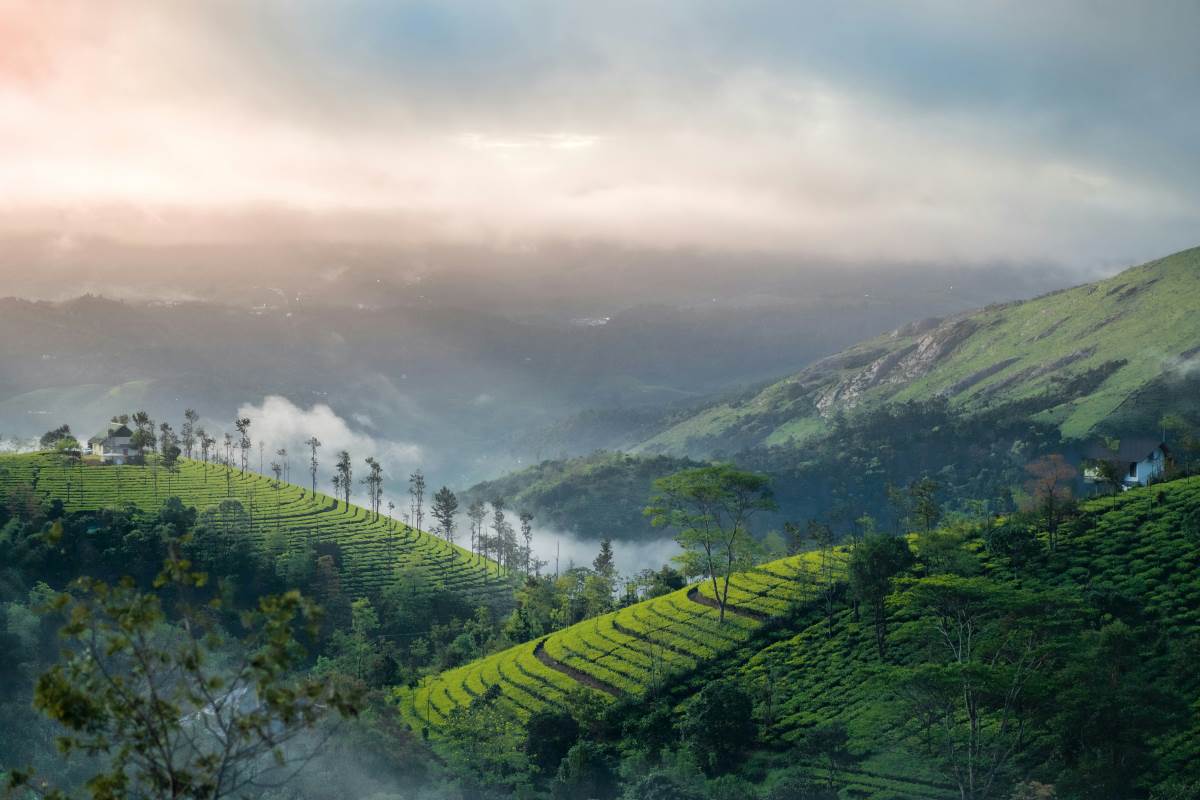 scenic view of vagamon hills