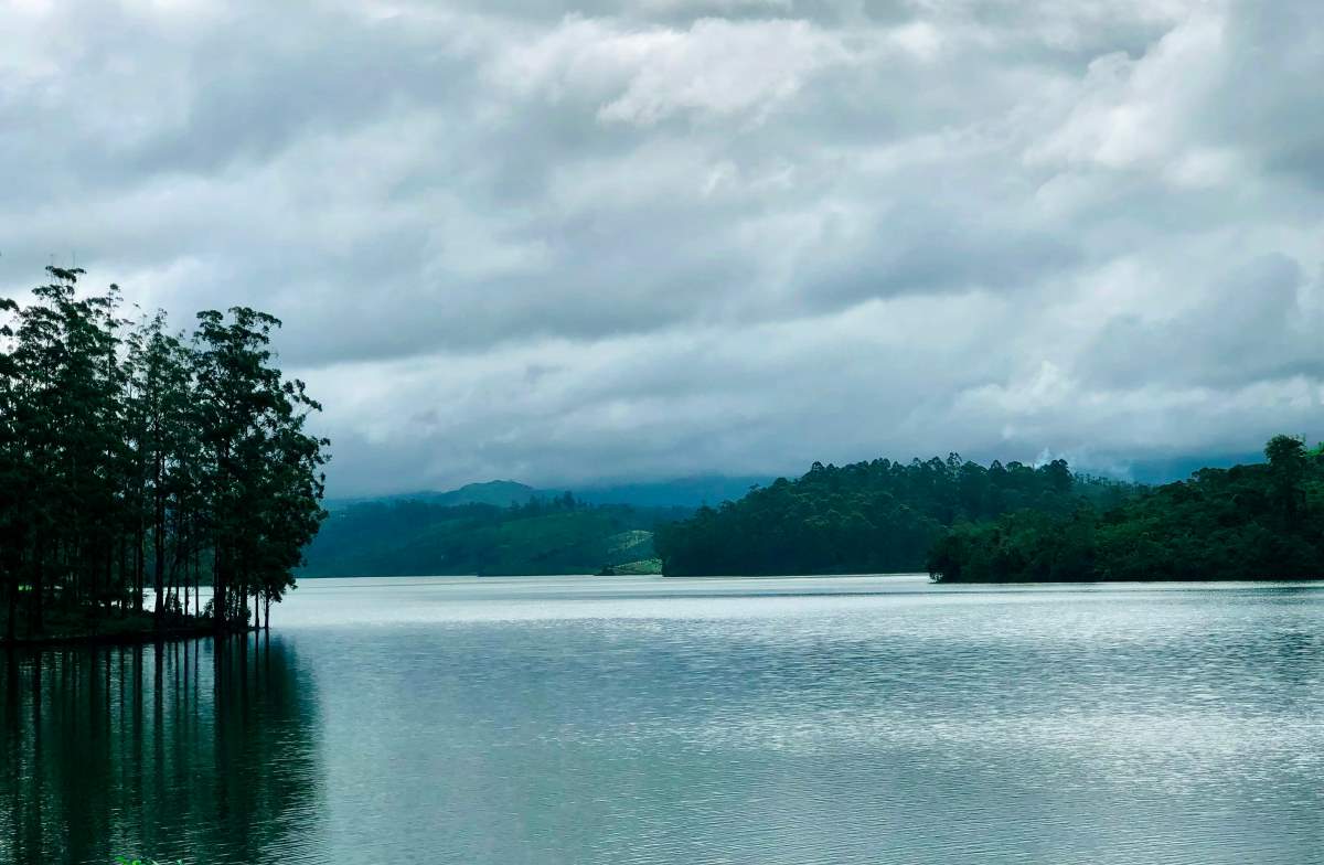 a beautiful river in valparai surrounded by forest