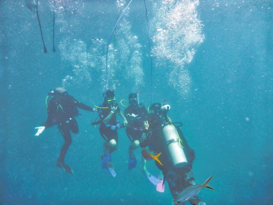 four scuba divers underwater