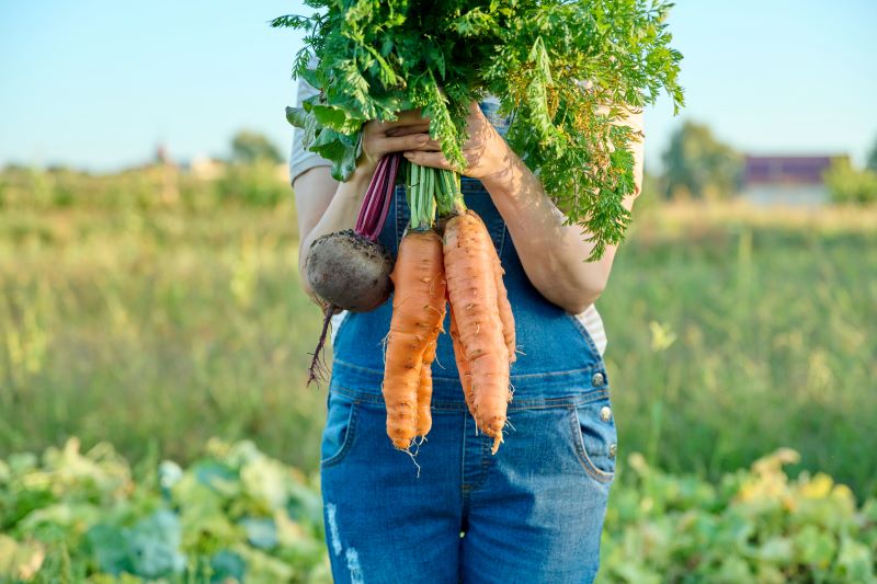 Fibre-Rich Vegetables for Heart 