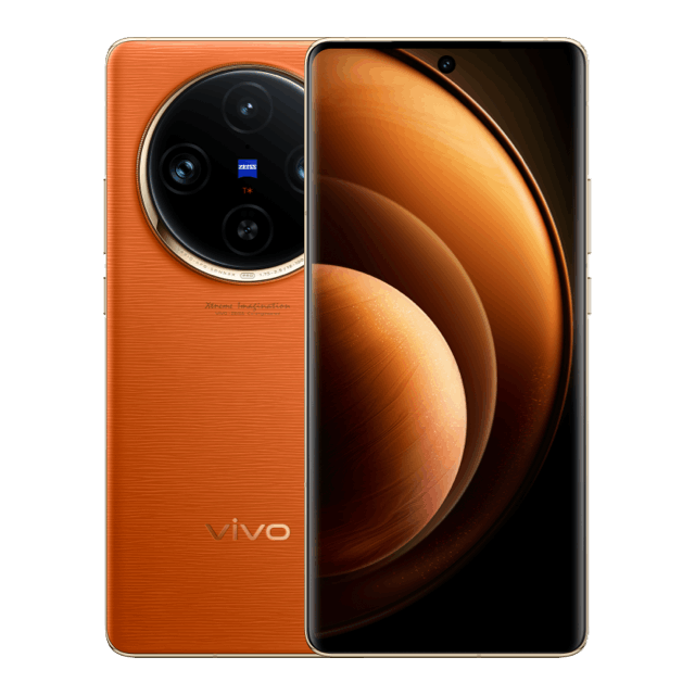 vivo x100 pro