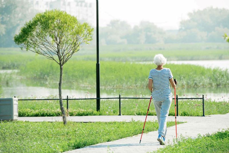 walking exercises for seniors