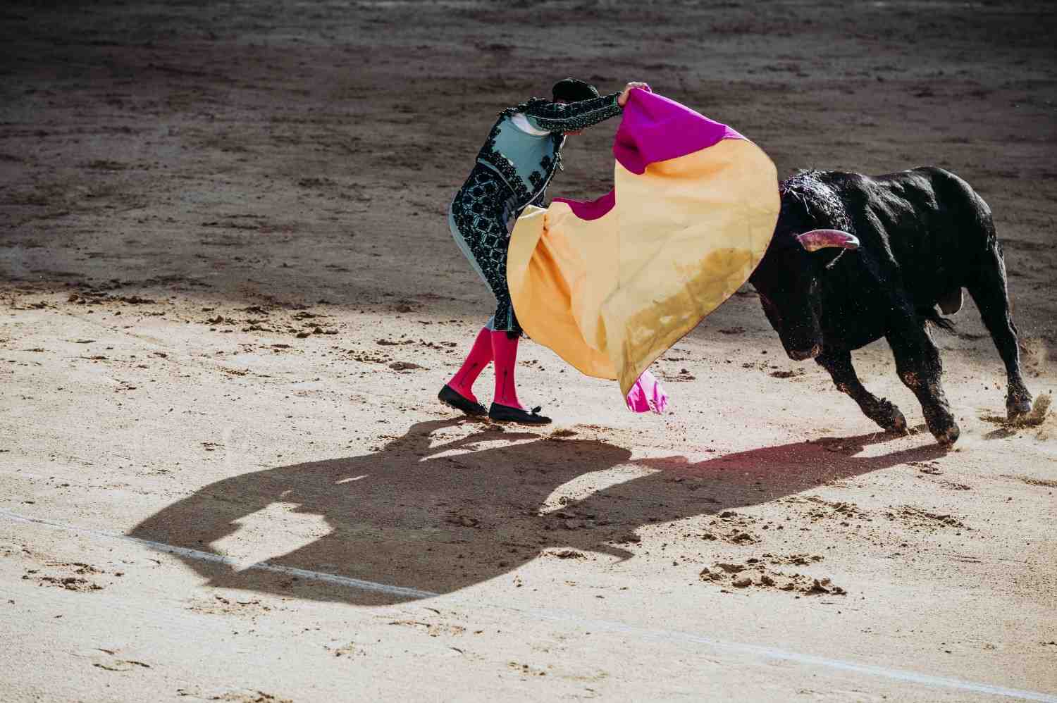 watching a bullfight