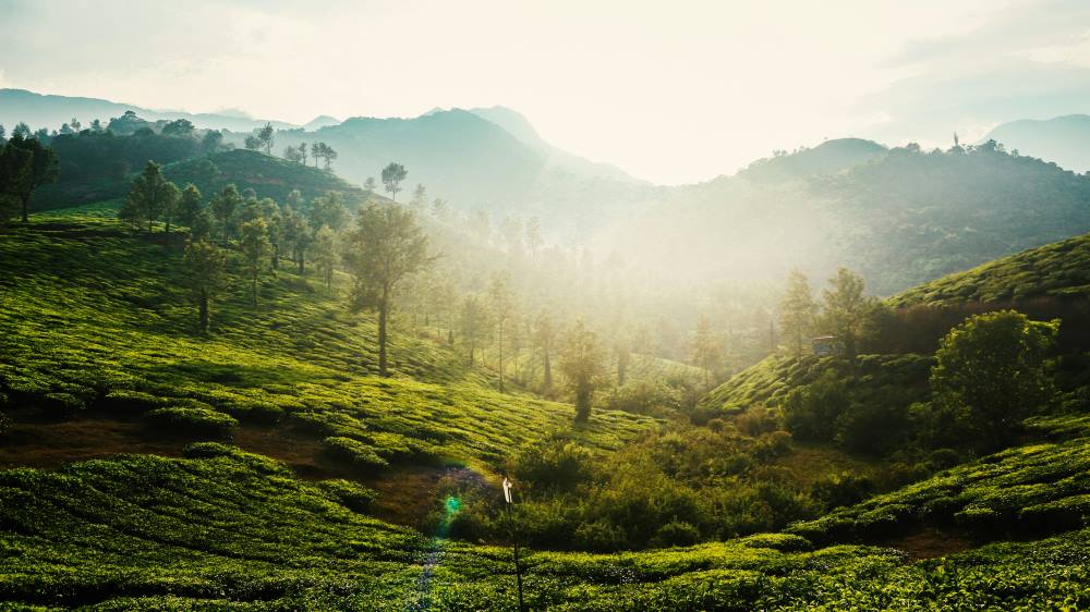 get a wonderful experience of sunrise in wayanad