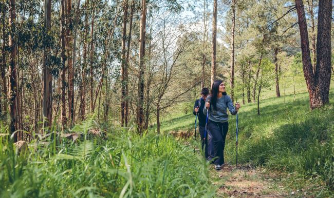 couples trekking through forest