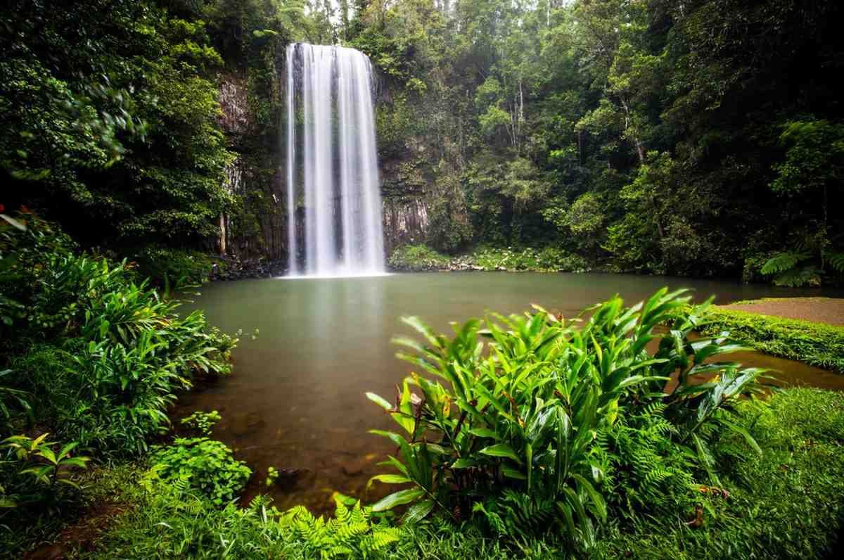 wet tropics of queensland