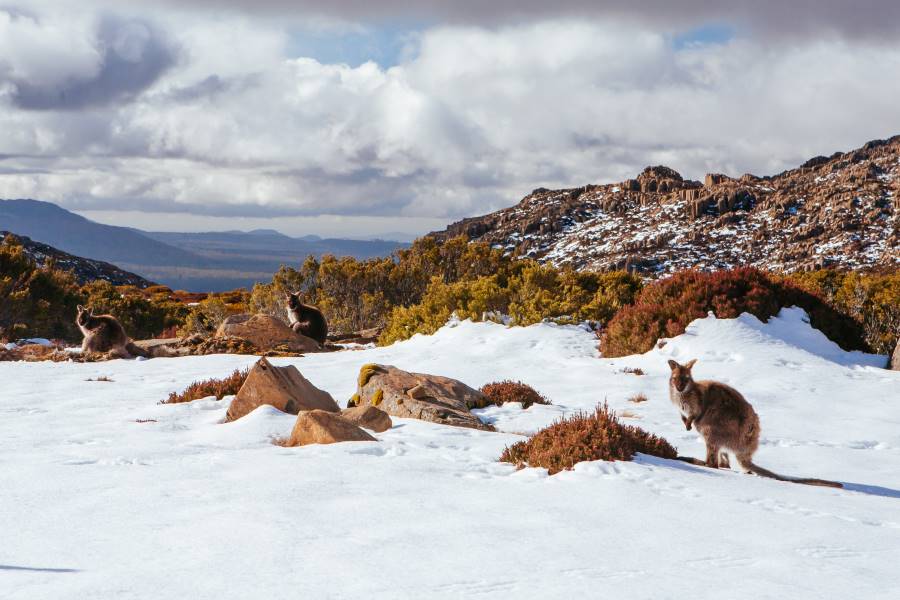 seasons to avoid visiting australia from india