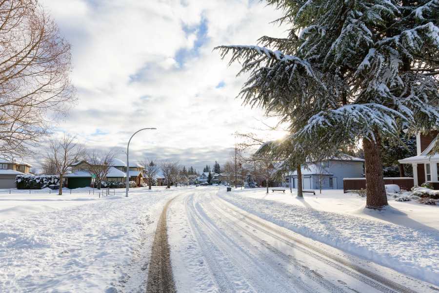 seasons to avoid visiting newzealand from india