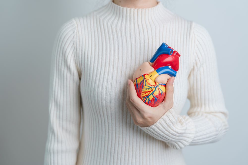 woman-holding-human-heart-model