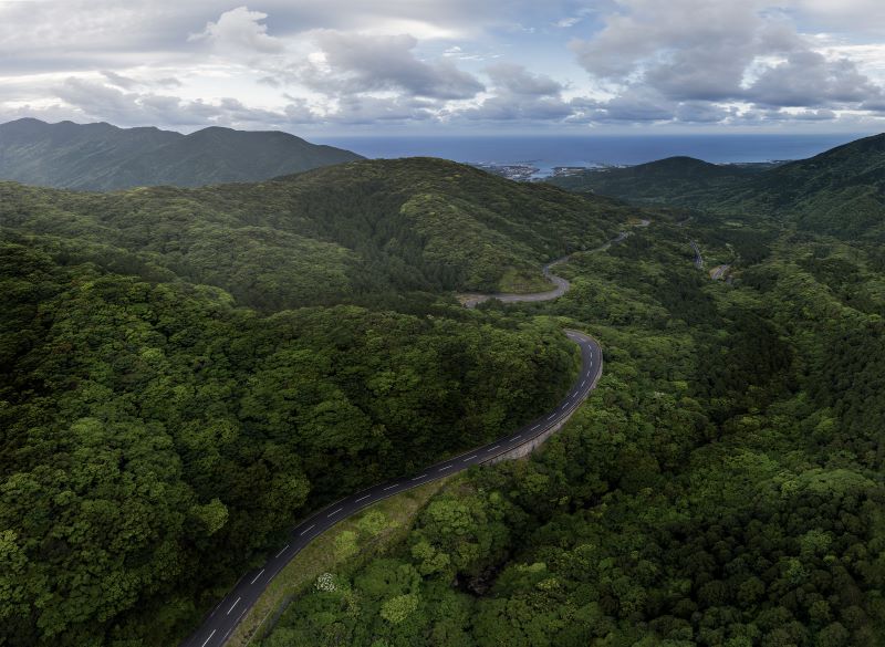 yakushima kagoshima prefecture