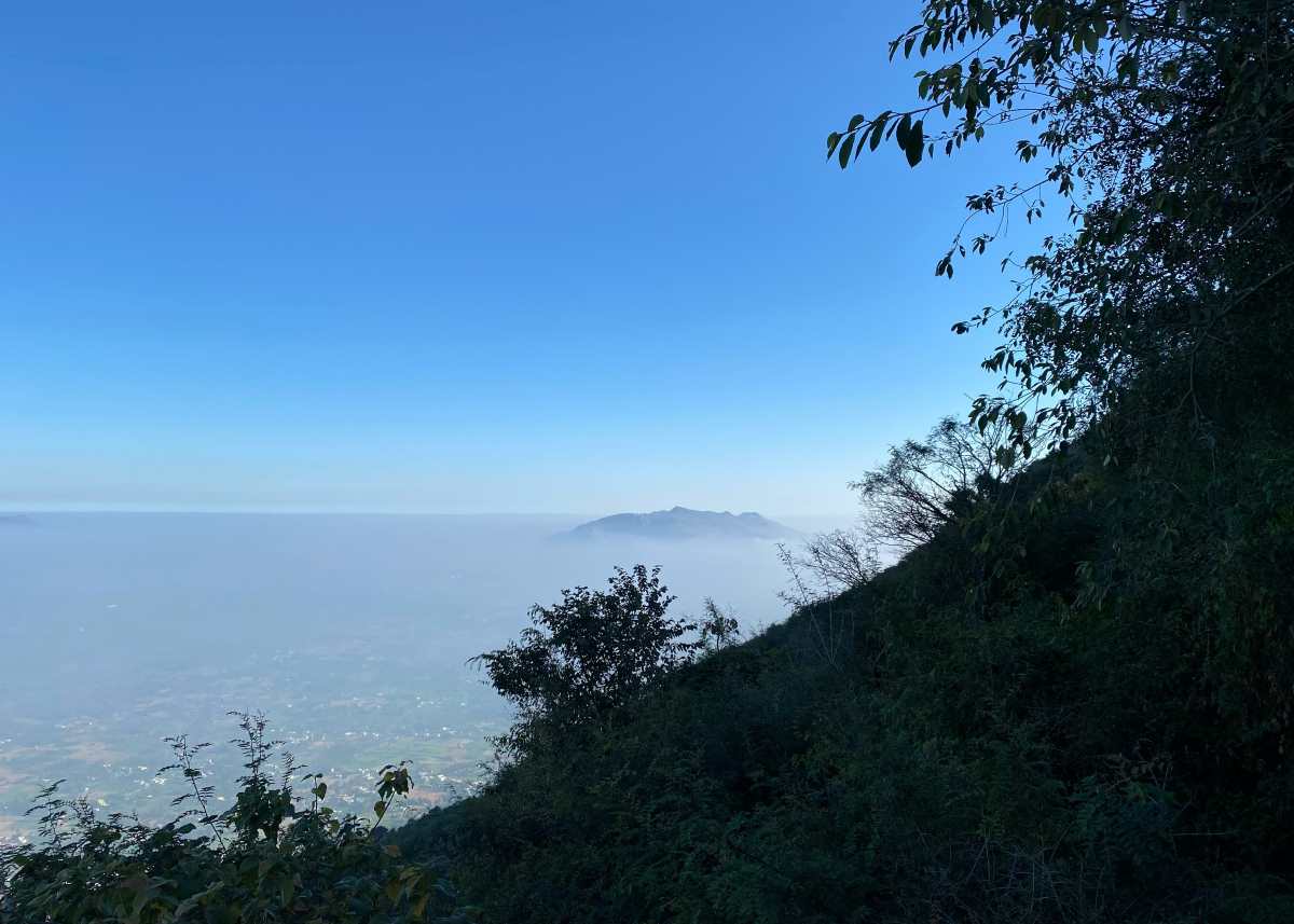 view of yelagiri hill from the road