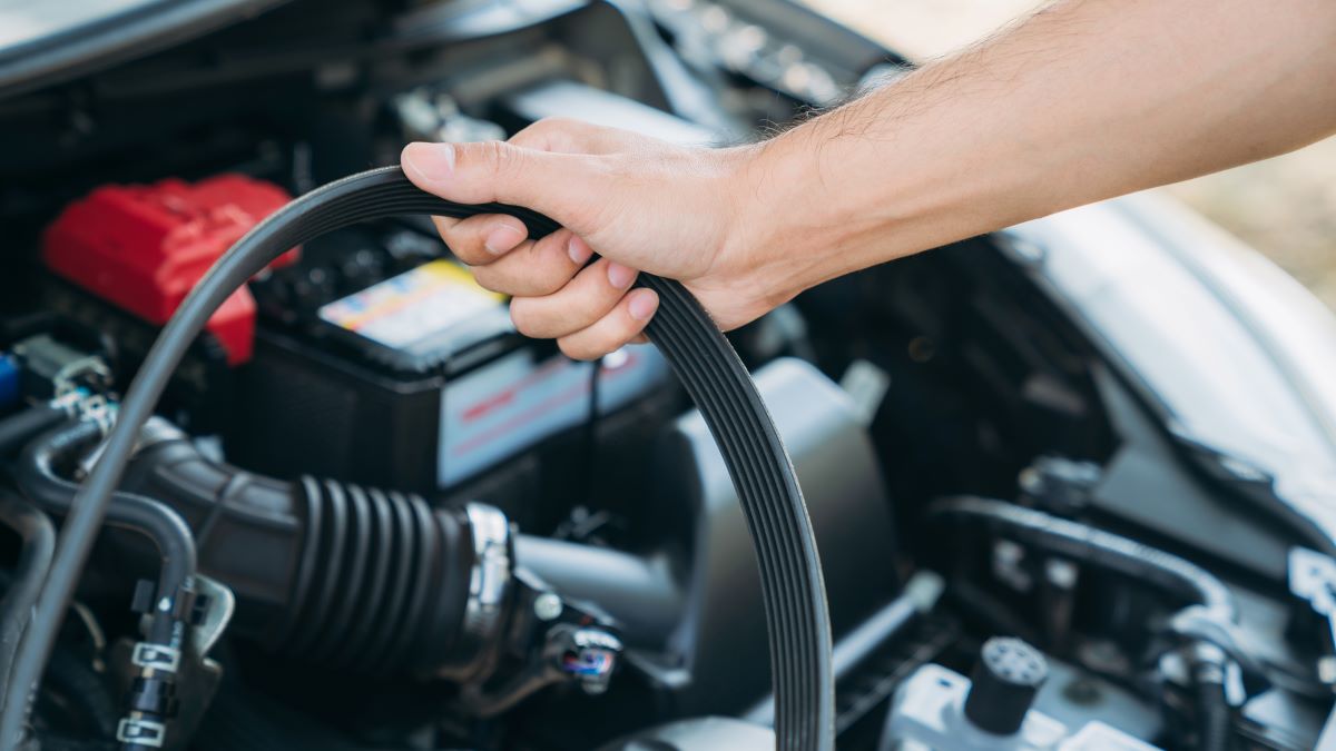 young man checking engine belt of a car