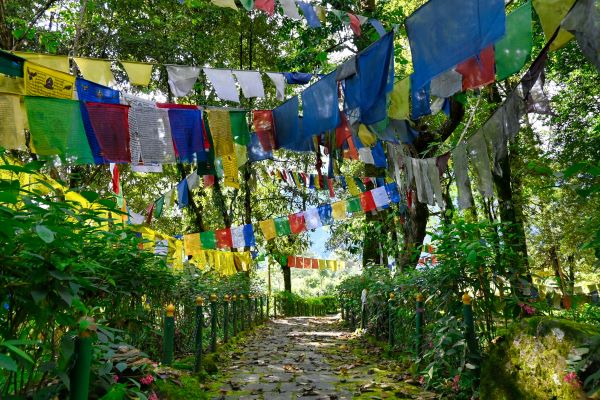 shot of yuksom walking path