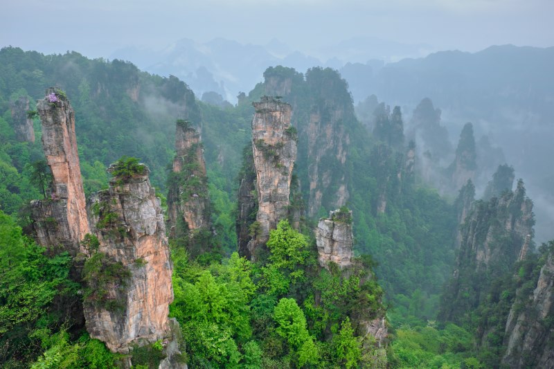 zhangjiajie national forest park hunan