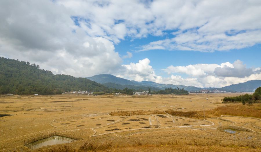 ziro valley in arunachal pradesh