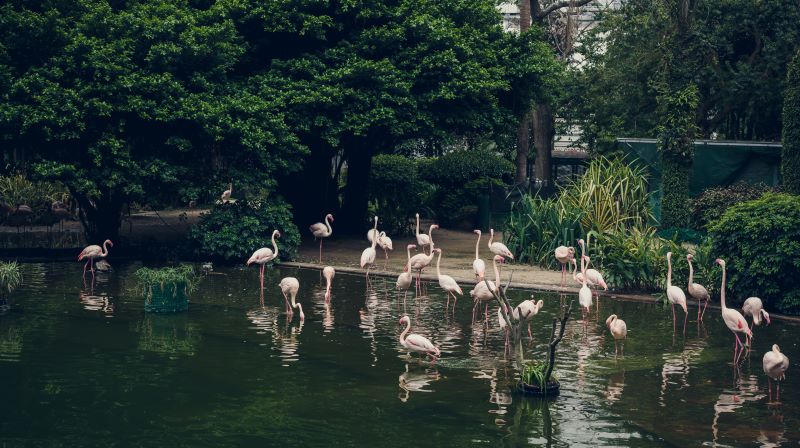 zsl-london-zoo-regent's-park